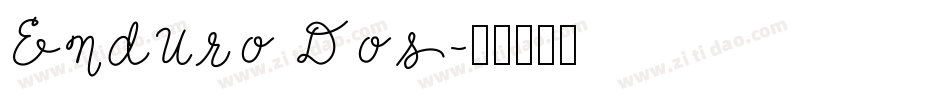 Enduro Dos字体转换